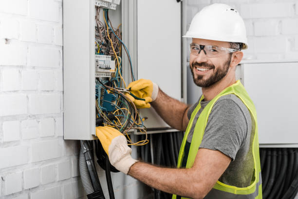 Best Electrical System Inspection  in Blakely, GA